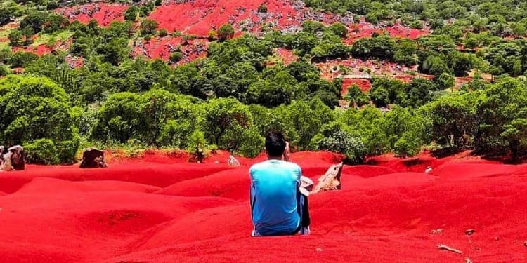 Dunas-Rojas-Pacula-Hidalgo-2022