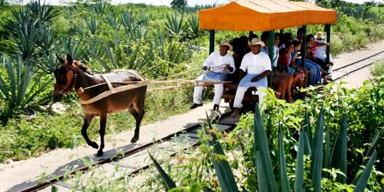 De acuerdo con la Secretaría de Turismo estatal, Yucatán cuenta con aproximadamente 300 haciendas, muchas de las cuales sin duda te robarán el aliento. Foto: Cortesía Sefotur.
