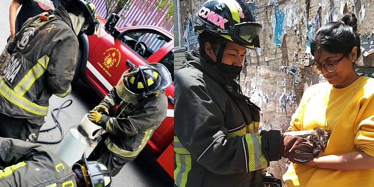 bomberos-CDMX-incendios-actividades-servicios