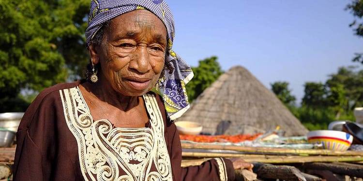 Para los pueblos indígenas, la tierra lo es todo. Es la fuente de alimento, refugio y medicina | Foto: Project Syndicate