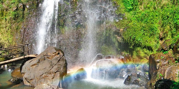 honey-puebla-cascadas-paraíso