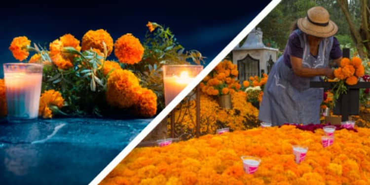 Día de Muertos