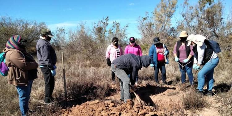 madres buscadoras asesinadas