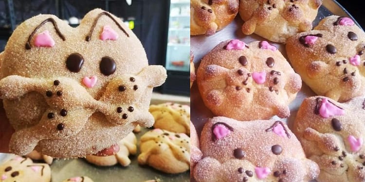 Dónde-comprar-Michimuerto-pan-de-muerto