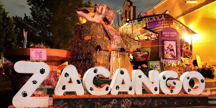 Recorrido-Nocturno-Zacango-Edomex