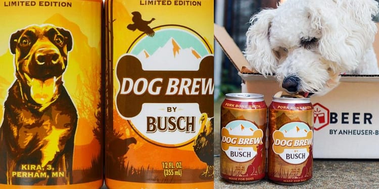 cerveza-para-perros-caldo-de-pavo-Busch