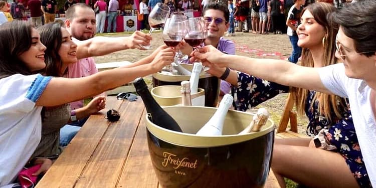 festival-de-vino-y-gastronomia-intervinos