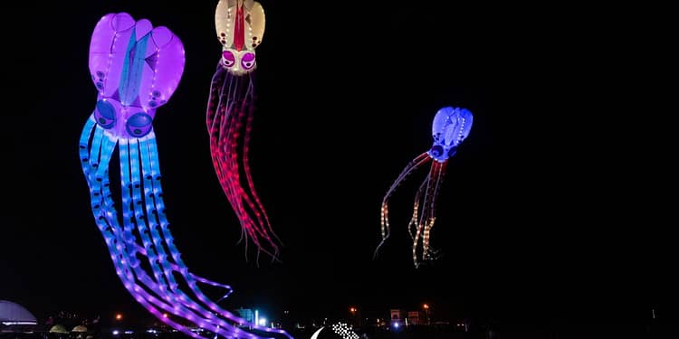 Festival Luz y Viento