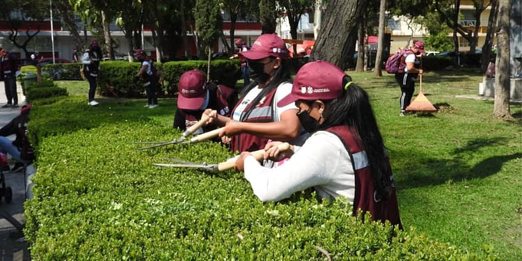 empleos verdes cdmx 2023