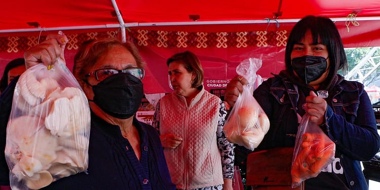 feria del bienestar