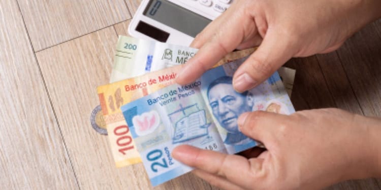 Salario neto