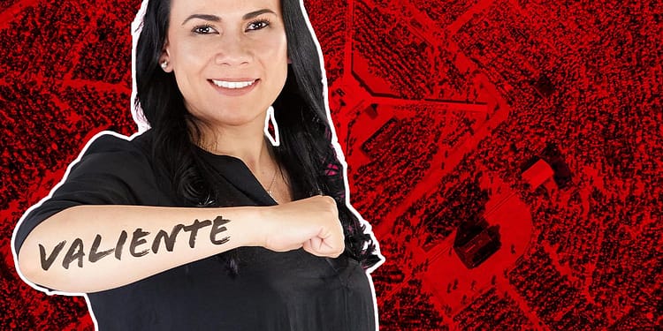Alejandra del Moral Vela. Cargos anteriores de la candidata de Va x México portada