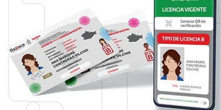 licencia de conducir permanente oaxaca