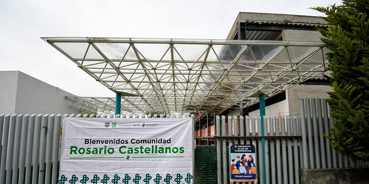instituto rosario castellanos