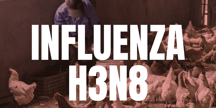 China ya contabiliza 3 contagios humanos por influenza H3N8. FOTO: DataNoticias