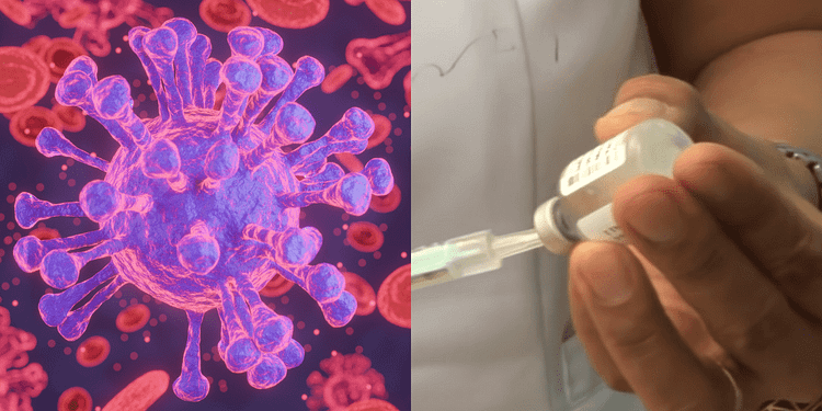 La OMS y el CDC identifican 4 tipos de influenza diferentes que tienen diversas iplicaciones en la salud. FOTO: DataNoticias