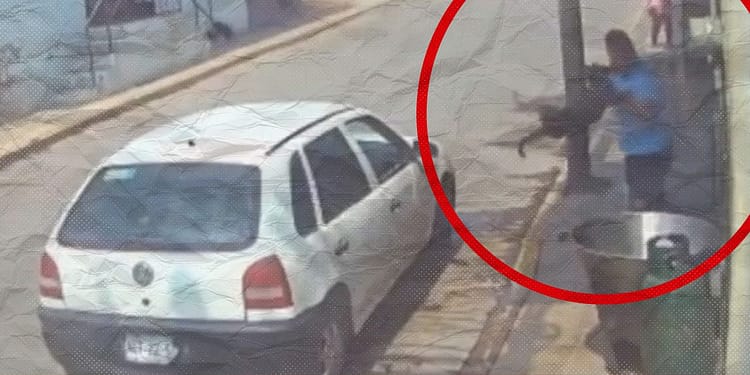 Pena máxima de 6 años por arrojar a perro de Tecámac a cazo hirviendo portada