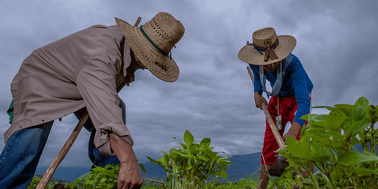 Financiera Rural desaparece. ¿Qué sigue tras el cierre?