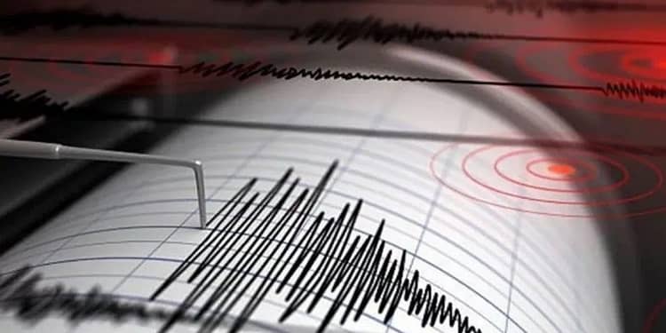 Reportan sismo en CDMX, ¿lo sentiste? FOTO: Gobierno de México