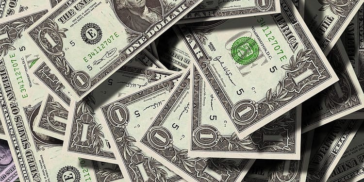 La centralidad del billete verde viene determinada principalmente por factores económicos y por una ventaja de incumbencia que se ve reforzada por los efectos de red. Foto: Pixabay.