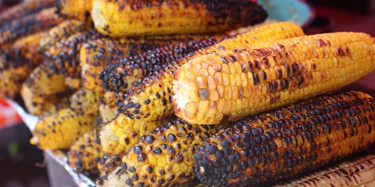 Feria del Elote y la Tortilla
