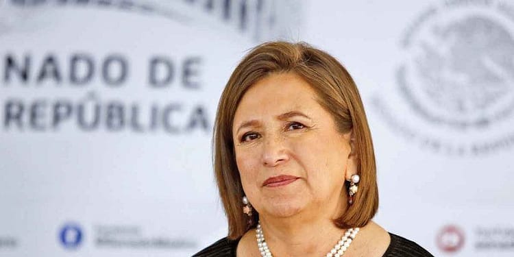 Empresas de Xóchitl Gálvez