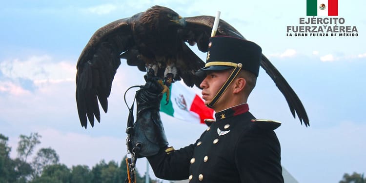 cómo entrar al ejército mexicano