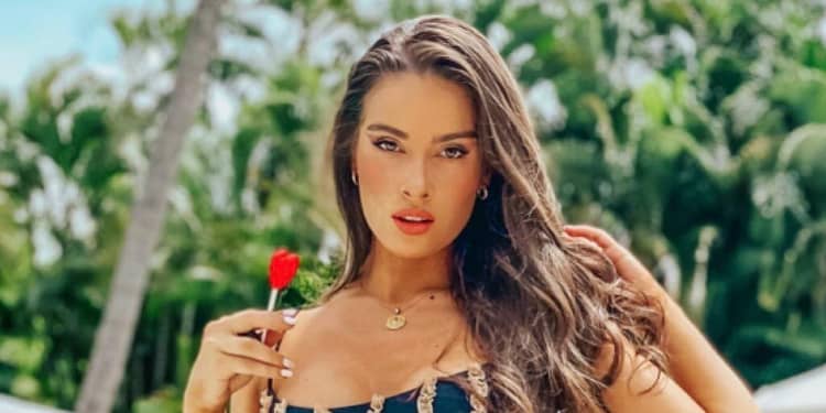 ¿Quién es Pamela Cortés Roemer, la esposa de Andrés Roemer?