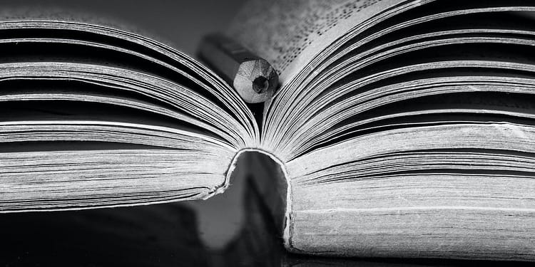 Free surgió de un tratado anterior sobre cómo se interrelacionan las nociones socialistas y liberales de libertad, y es esta perspectiva la que estructura el libro. La primera parte, sobre cómo los albaneses “eligieron la libertad”, ofrece una memoria eminentemente legible de la infancia de Ypi en la última década de gobierno comunista en Albania. Si bien incluye todos los horrores de la vida cotidiana (escasez de alimentos, denuncias políticas, control y sospecha, tortura y duros castigos), también está salpicado de momentos cómicos. Foto: Pexels.