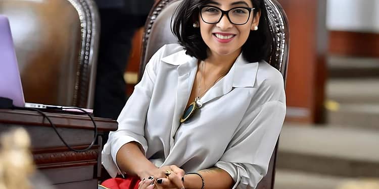 quien es la diputada ana villagran portada