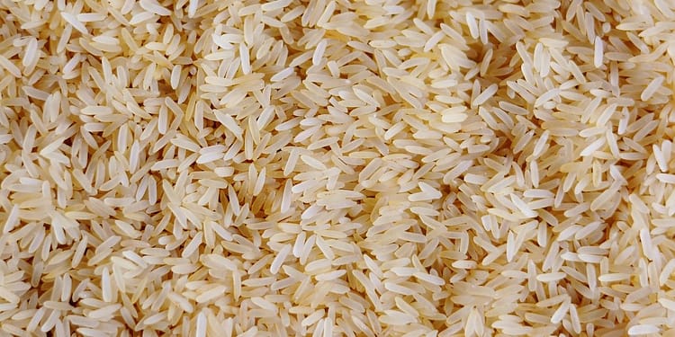 La lucha contra el hambre en el mundo requiere que los responsables de la formulación de políticas comprendan y aborden sus causas fundamentales. Foto: Pixabay.