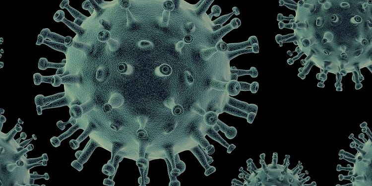 ¿Debemos preocuparnos por el mortal virus Nipah?