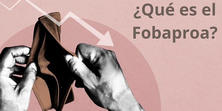 Fobaproa resumen
