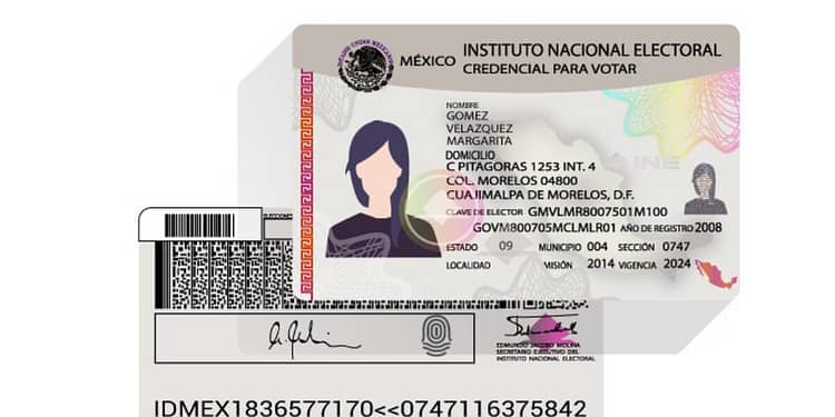 citas INE en 2024