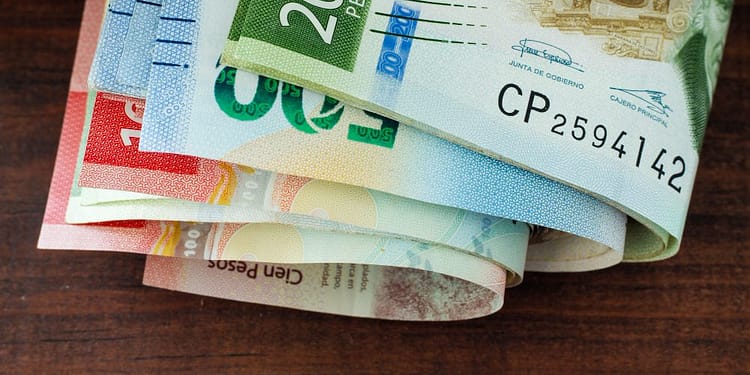 Salario Mínimo 2024