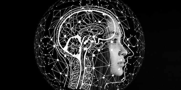 Hay que tener presente que la estupidez humana es una fuerza mucho más dominante en el mundo que la IA. Foto: Pixabay.