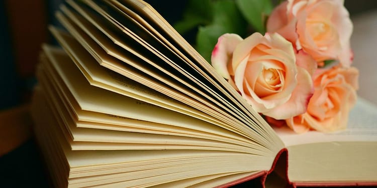 La novela de Cristina Rivera es un homenaje de esta escritora a su hermana Liliana y al invencible verano que en ella descubrió al escribir este texto que a la distancia y después de 30 años, refrenda el vínculo fraterno e indisoluble que existe entre estas dos hermanas. Foto: Pixabay.