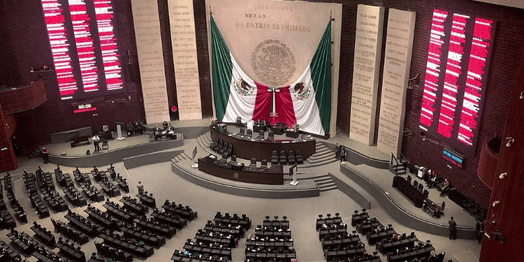 para que sirven los diputados plurinominales portada