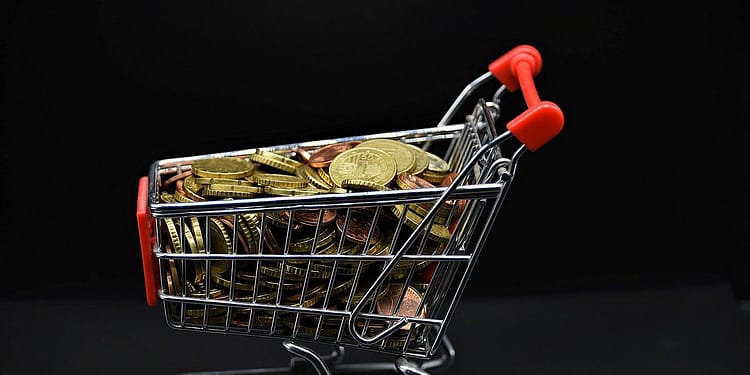 Es bien sabido que la desigualdad económica crea desigualdad política, al dar a los ricos una voz más fuerte. Foto: Pixabay.