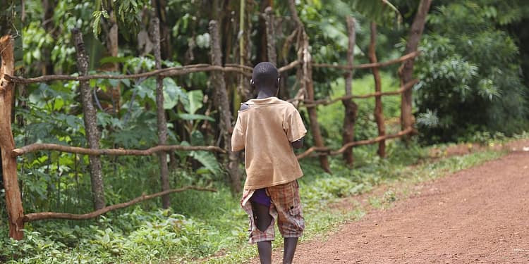 Si el mundo ni siquiera puede llevar alimentos a los niños hambrientos, ¿cómo puede unirse para derrotar el cambio climático y reorientar la economía global? ¿Y cómo pueden los países más pobres confiar en que el sistema internacional no los dejará atrás si ese sistema no puede abordar los desafíos más básicos?. Foto: Pixabay.