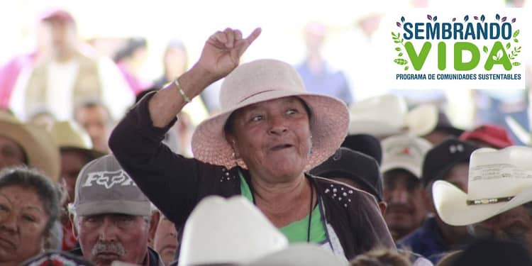 apoyo-bienestar-sembrando-vida-2024-que-es-cuanto-da