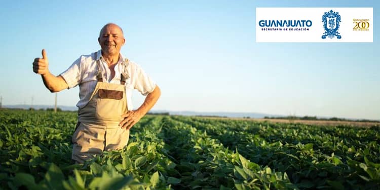 apoyos-guanajuato-para-el-campo-2024