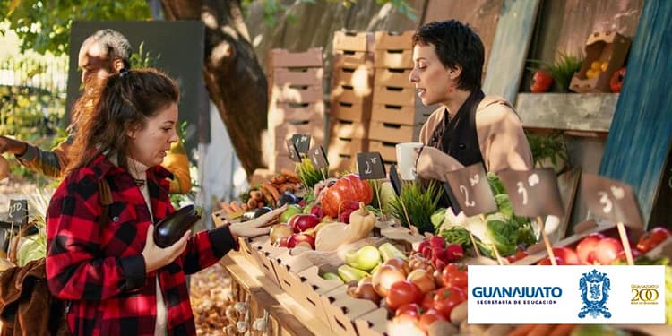 guanajuato-comercializacion-innovadora
