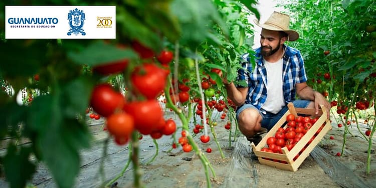 apoyo-guanajuato-mi-familia-productiva-y-sustentable
