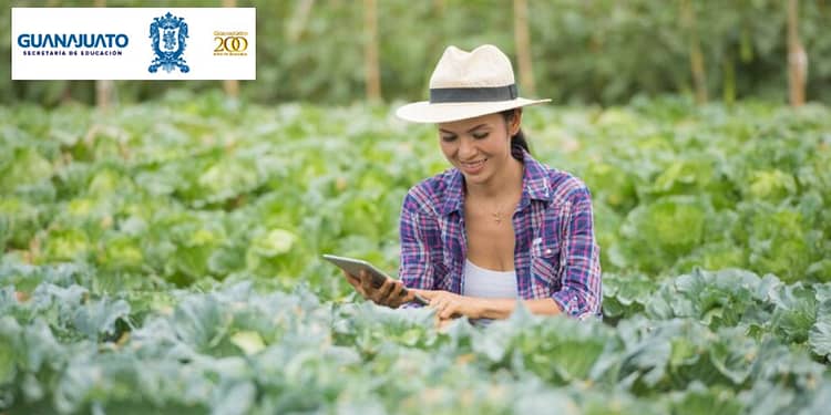 apoyo-guanajuato-para-productores-del-campo