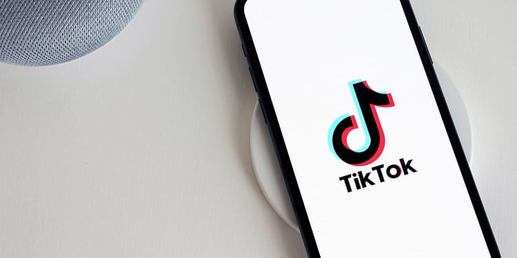 TikTok prometió que almacenaría los datos de los estadounidenses en servidores fuera de China. Foto: Pixabay.