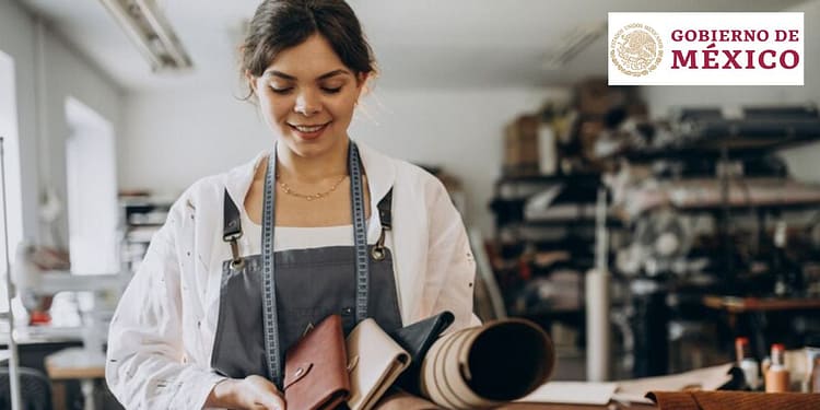 apoyos-mexico-para-negocios-emprendedores-programas