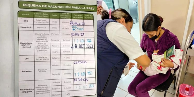 cartilla-de-vacunacion-2024-como-descargarla-gratis