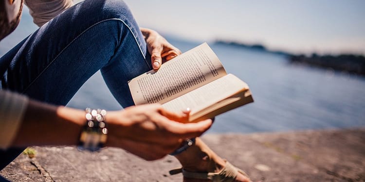 La perra es una novela corta, amena y compleja a la vez, que logra transmitir sentimientos tan humanos como la ternura, el odio, la envidia y el amor. Foto: Pixabay.