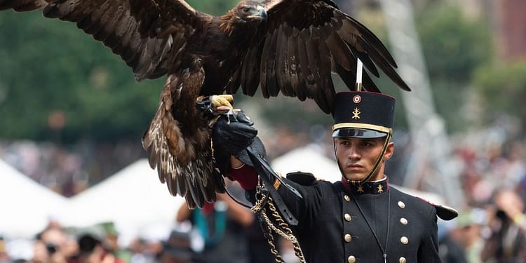 convocatoria-colegio-militar-2025-cuando-sale
